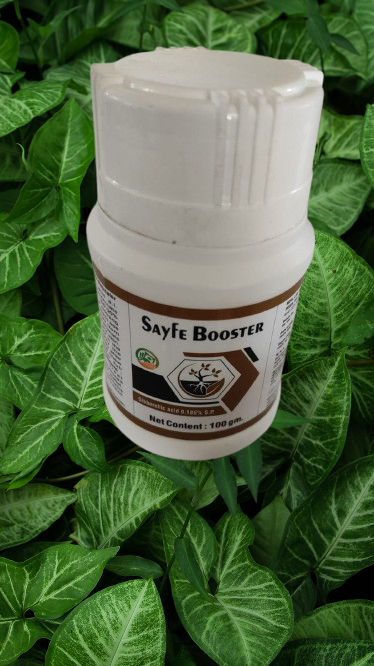Sayf. Booster 
