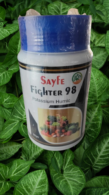 Sayfe. Fitger 98 Hiumik Acid 